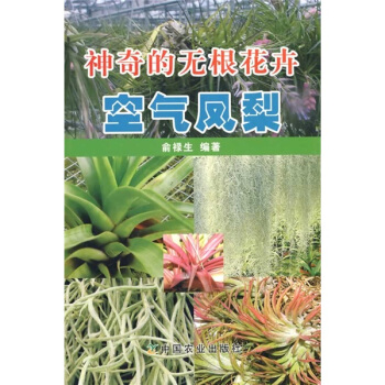 神奇的無根花卉：空氣鳳梨 pdf epub mobi 电子书 下载