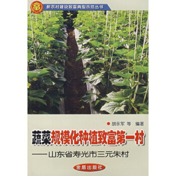 蔬菜规模化种植致富第一村山东省寿光市三元朱村 pdf epub mobi 电子书 下载