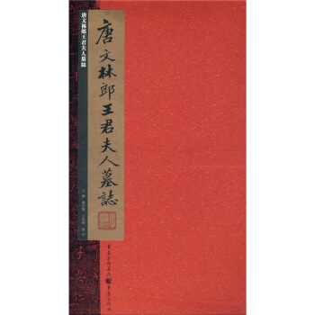 张祖翼藏拓魏碑系列：唐文林郎王君夫人墓志 pdf epub mobi 电子书 下载