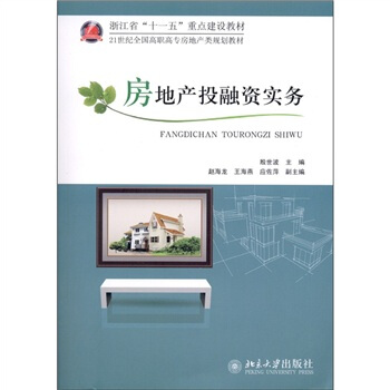 房地产投融资实务 pdf epub mobi 电子书 下载