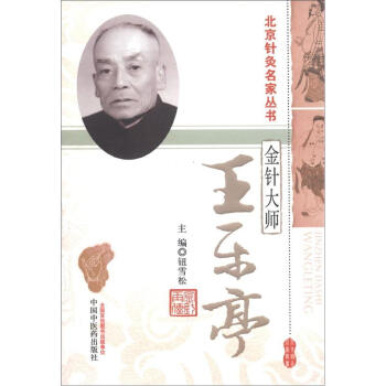 北京针灸名家丛书·金针大师：王乐亭 pdf epub mobi 电子书 下载