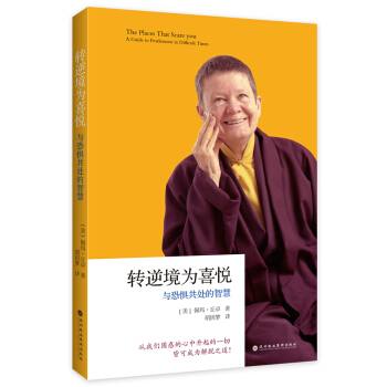 转逆境为喜悦：与恐惧共处的智慧 pdf epub mobi 电子书 下载