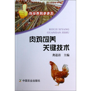 肉鸡饲养关键技术 pdf epub mobi 电子书 下载