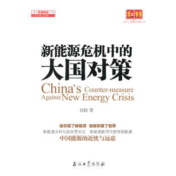 新能源危机中的大国对策 pdf epub mobi 电子书 下载